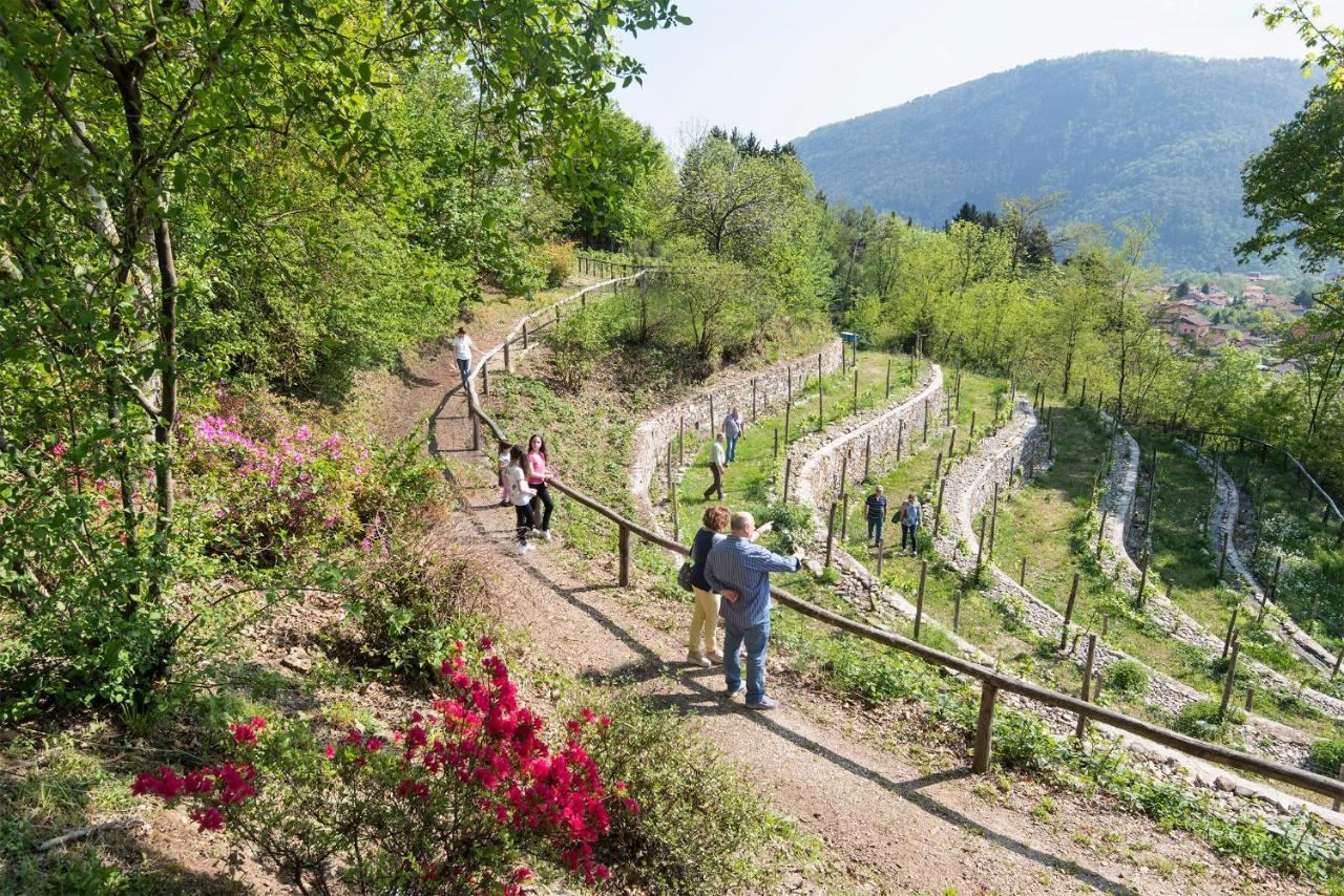 Agriturismo Al Motto Cambiasca Exterior photo